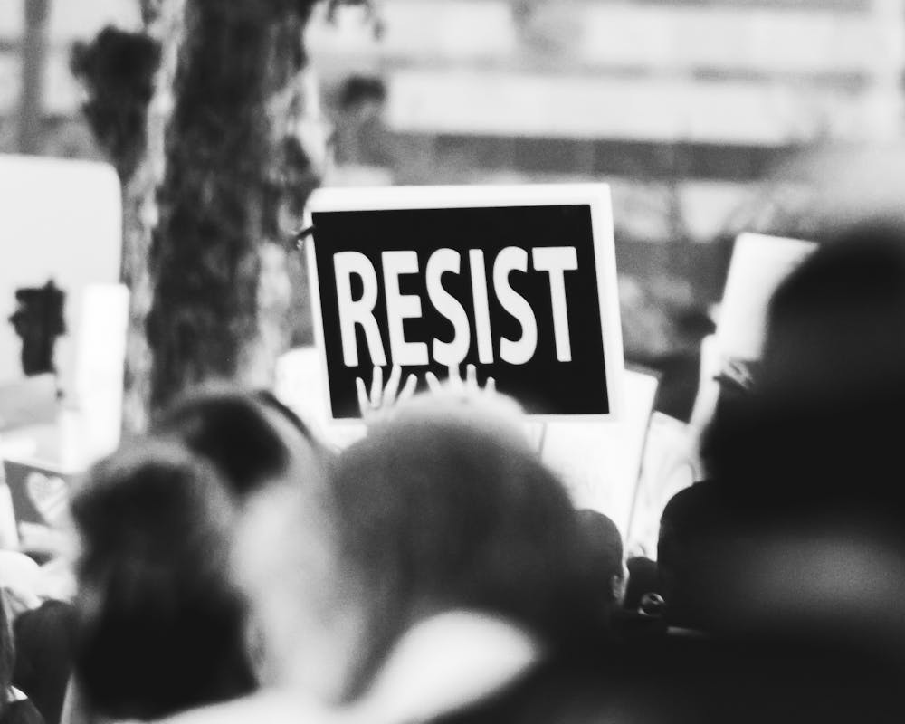 pexels-photo-3141240