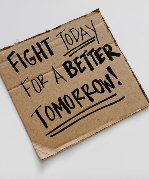 pexels-photo-8850717-1