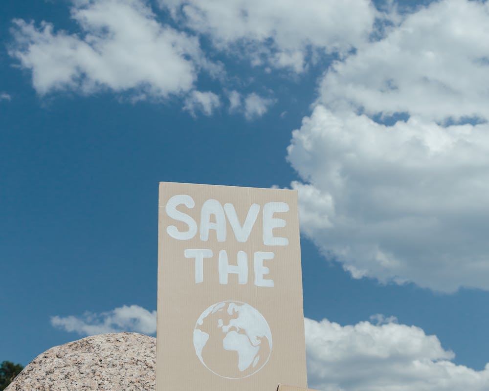 pexels-photo-9035239